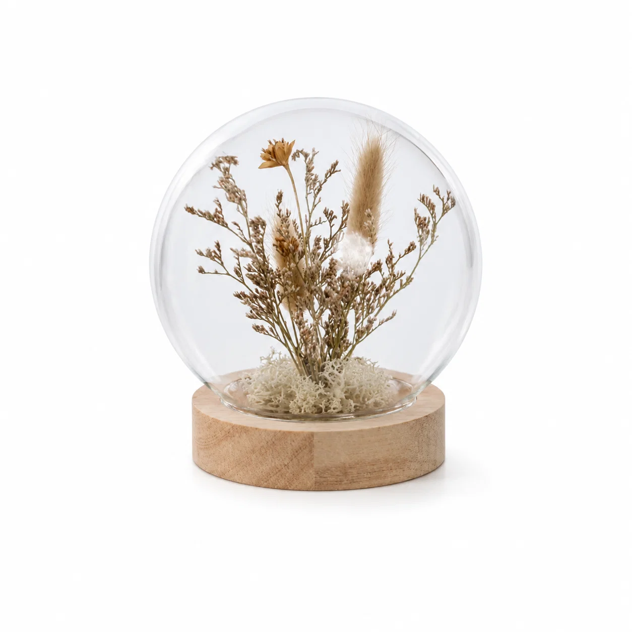 Stylish Dried Flowers In Cloche Durable