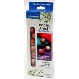 Trendy CEDAR BALLS 24CT High-Grade