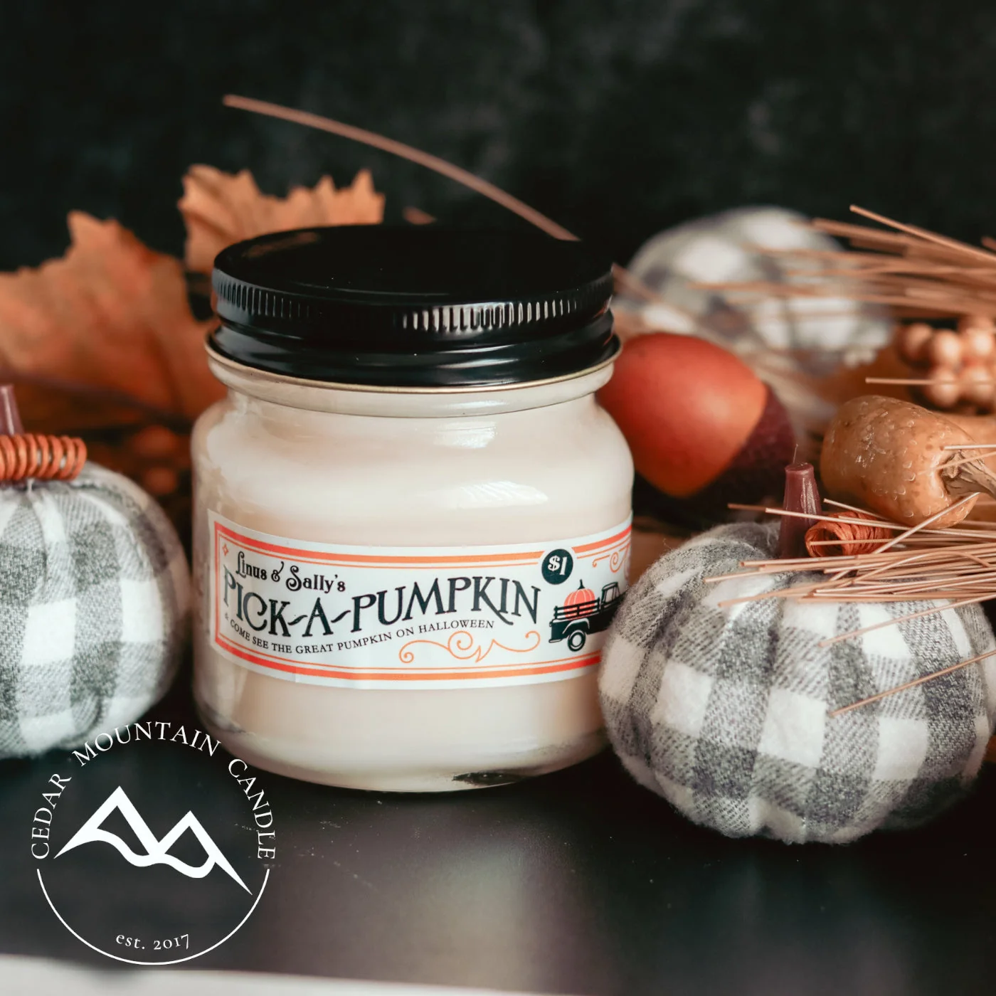 Premium Material Pumpkin Patch Mason Jar Candle – Fall Scents Convenient