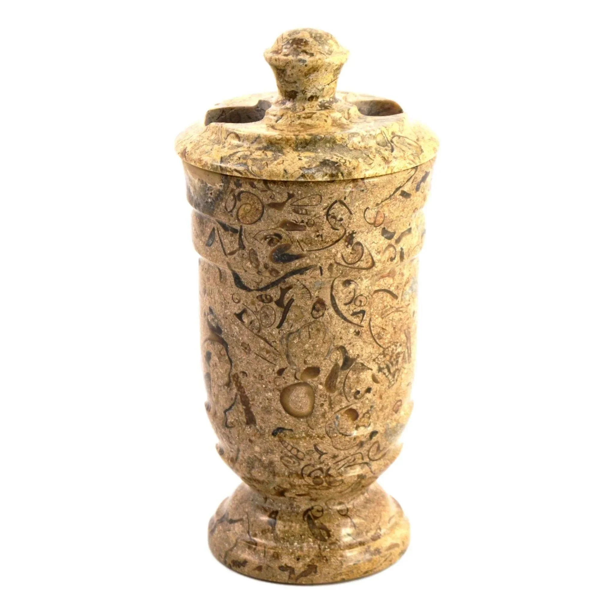 Solid Fossil Stone Toothbrush Holder of Tasmanian Collection Eco-Friendly