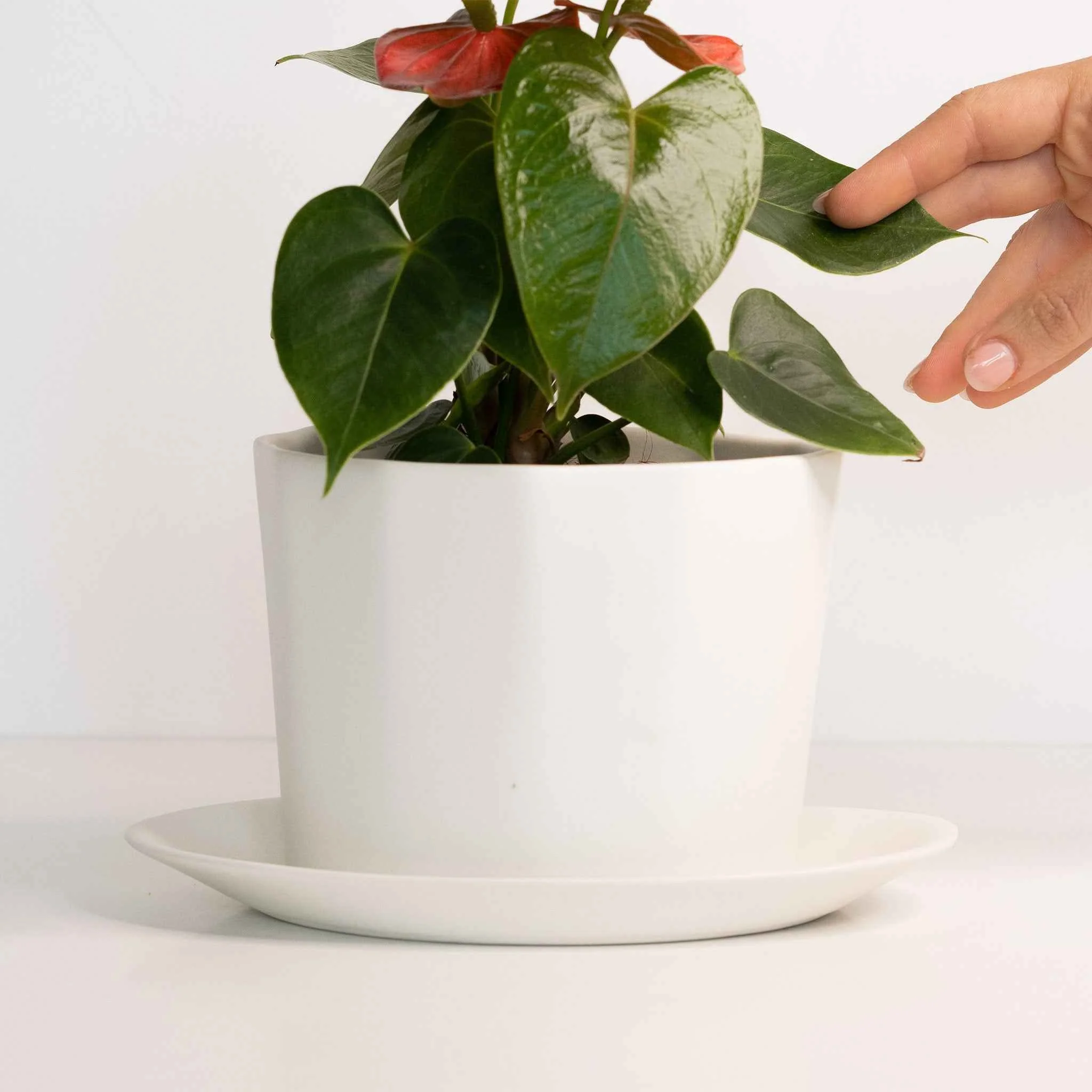Exceptional Geometric Oval Handmade Porcelain Planter Crafted