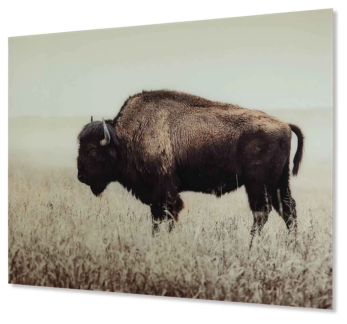 Unique Brutus – Wall Art – Sepia Safe