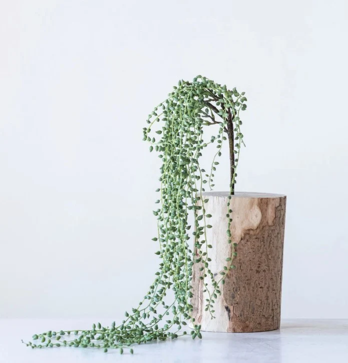 Trendy Faux String of Pearls Pick Advanced
