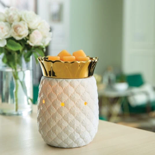Secure Tropical Illuminated Fragrance Warmer Responsible