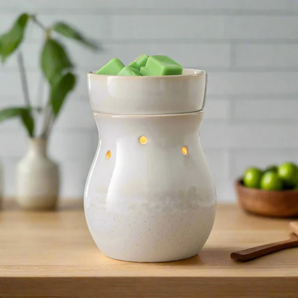 Dependable Frosted Farmhouse Electric Wax Warmer Versatile