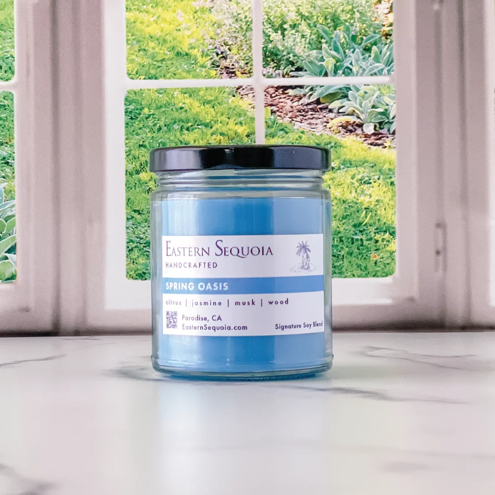 Modern Spring Oasis Candle 7oz Contemporary