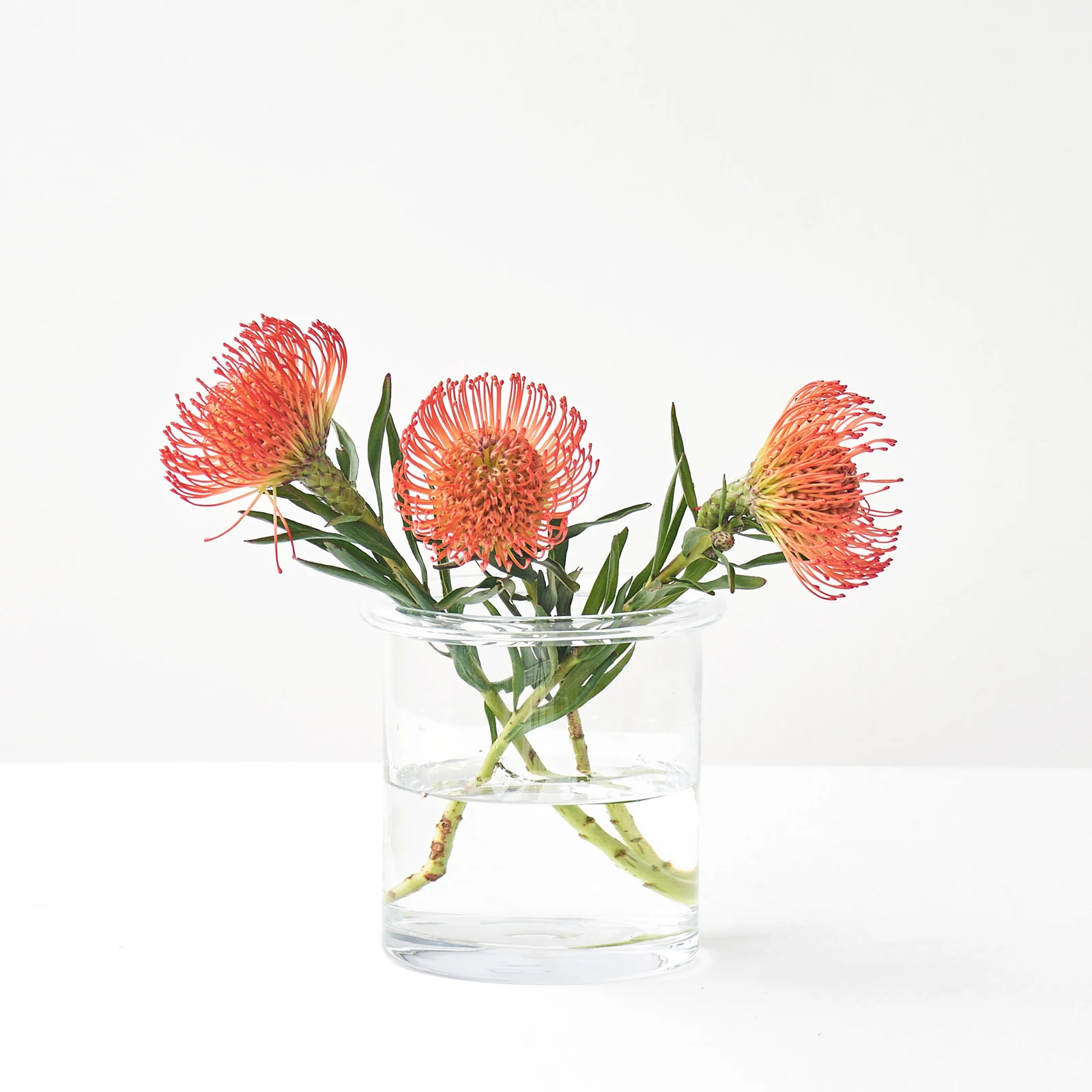 Natural Montuiri Vase Safe