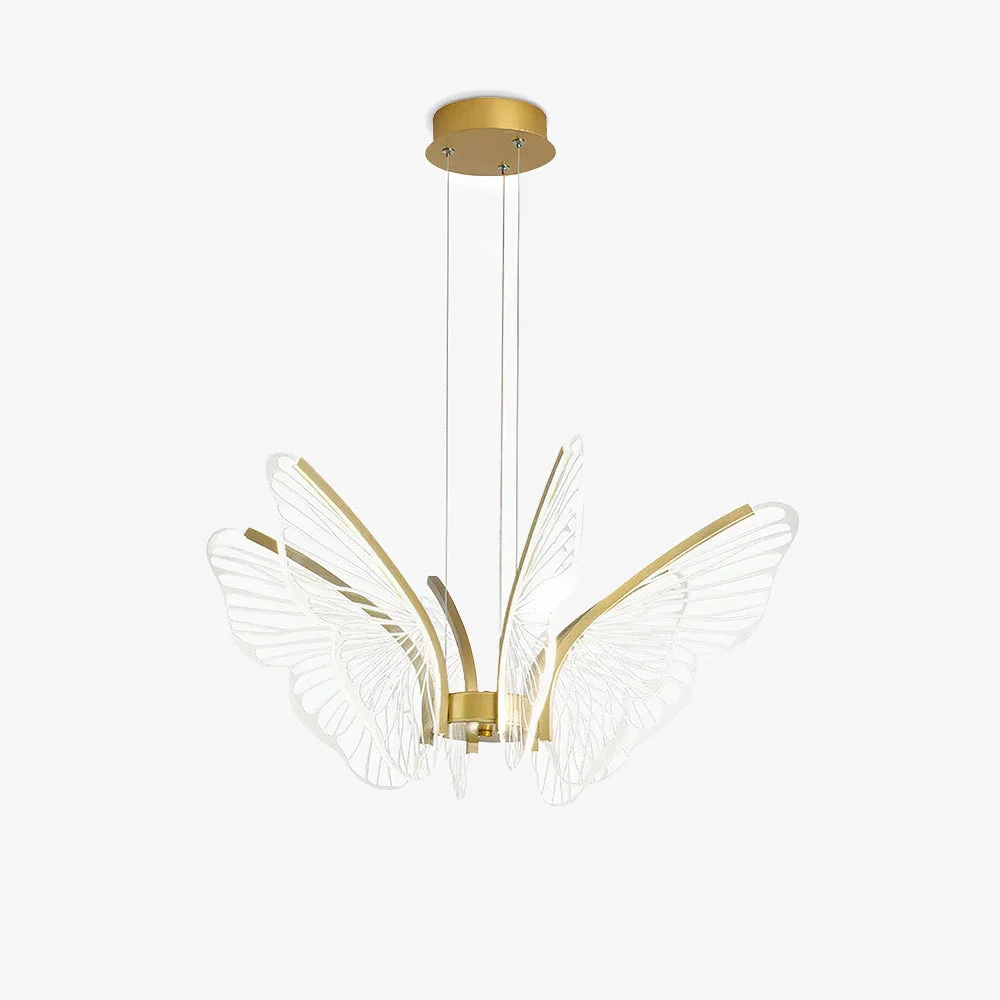 Unique Phalaenopsis Chandelier Top-Quality