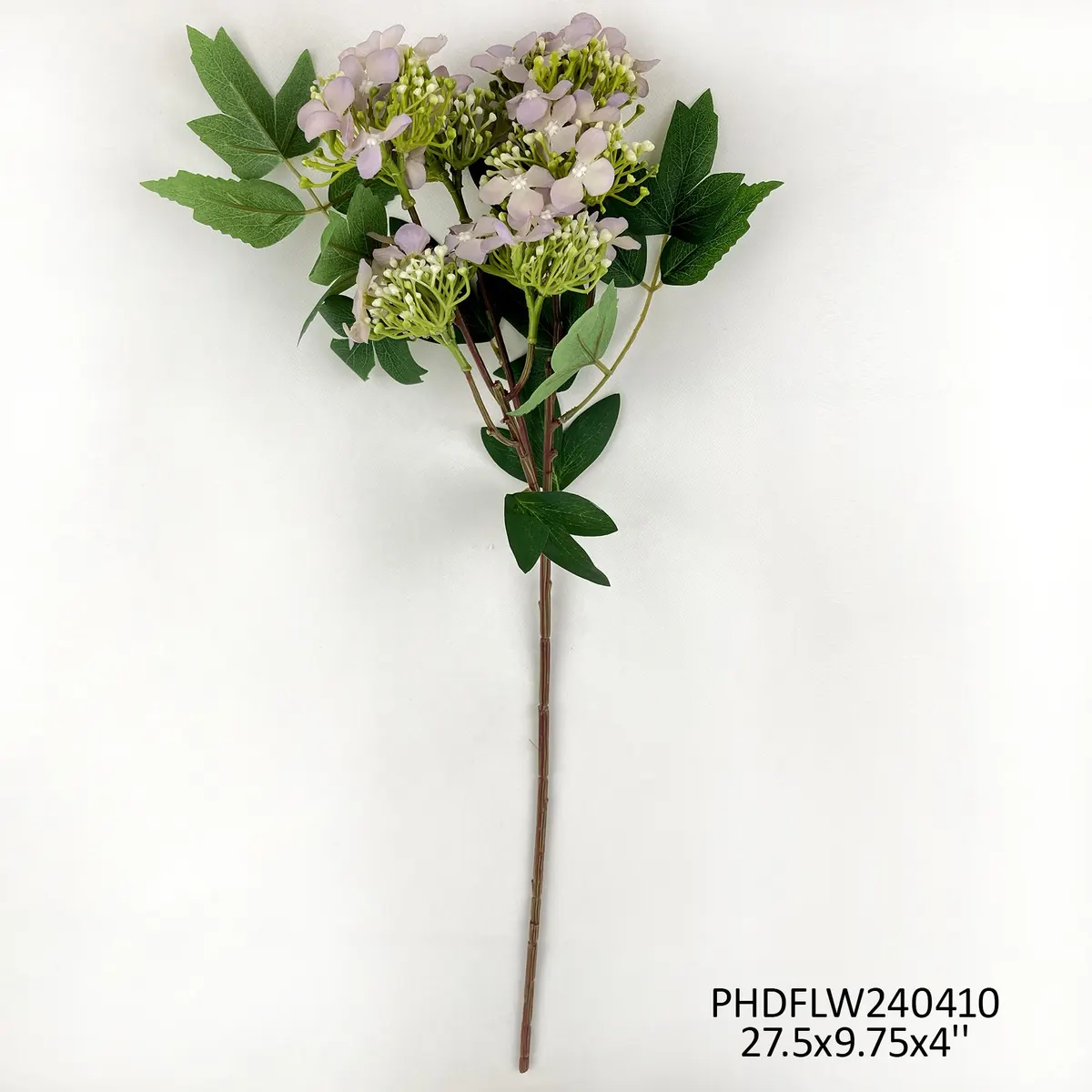 Next-Generation Lace Cap Hydrangea Blush Pink Convenient