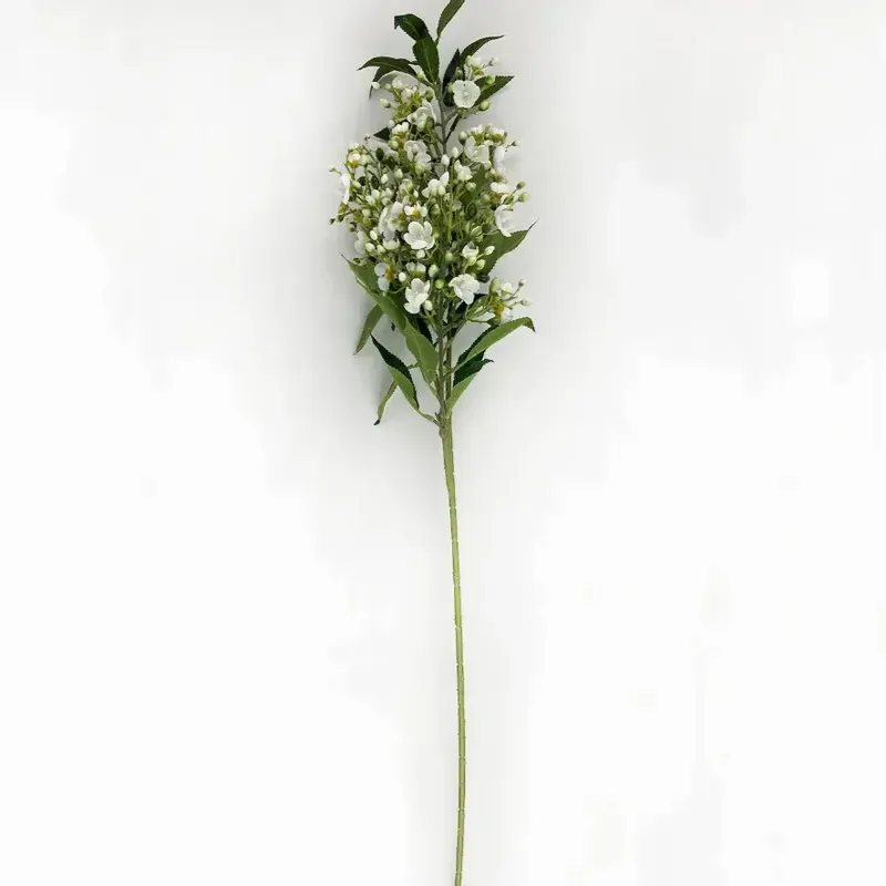 Exclusive Tea Tree Branch White Top-Quality