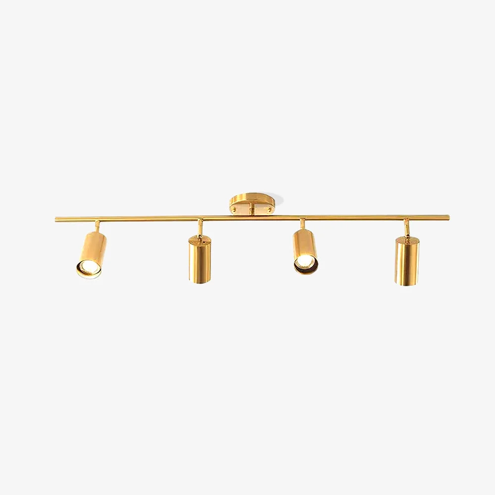 Advanced Cylinder Brass Series Ceiling Lamp Organic