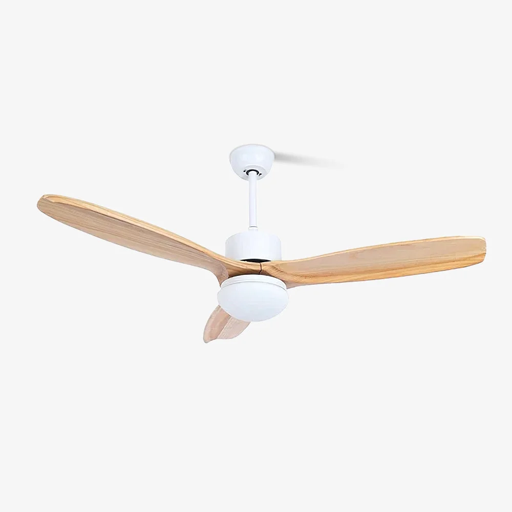 Comfortable Harborough 3 Ceiling Fan Light Premium Material