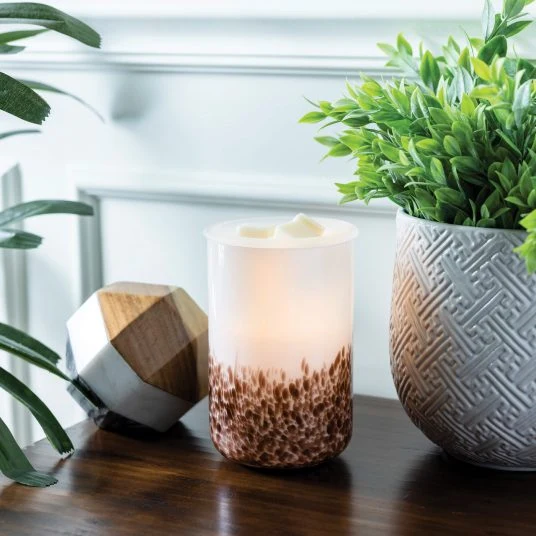 Smooth Speckled Tiger Shell Illuminated Fragrance Warmer Secure