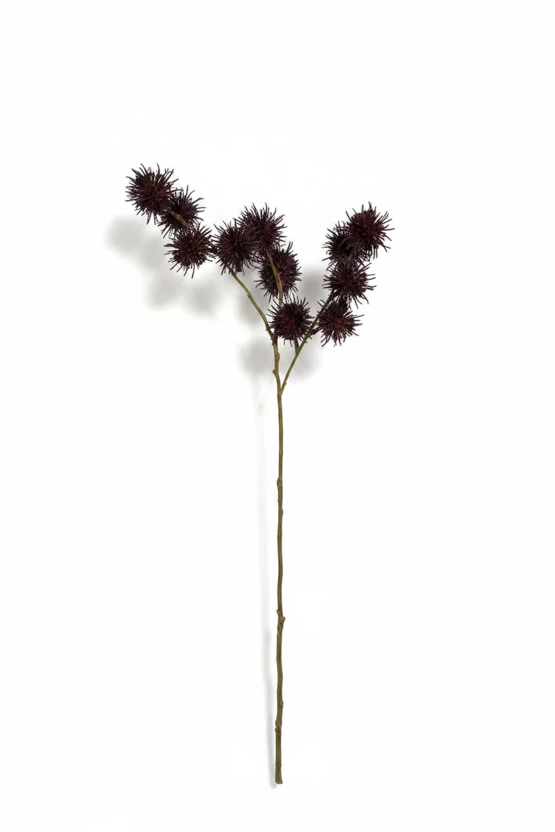 Natural Horse Chestnut Plum Faux Botanical Artisan