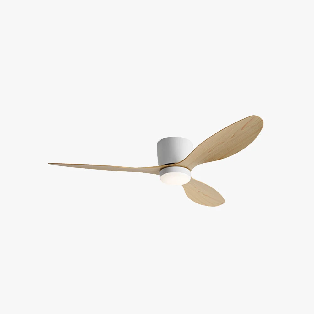 Fashionable Walters Minimalist 3-Blade DC Ceiling Fan with Light Black White Fine Crafted