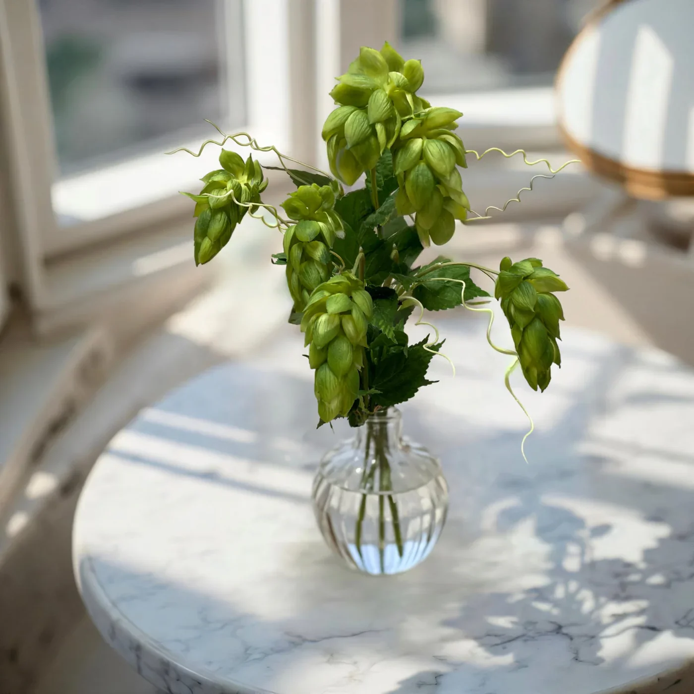 Powerful Hops Bundle – Fresh Touch Floral Elite