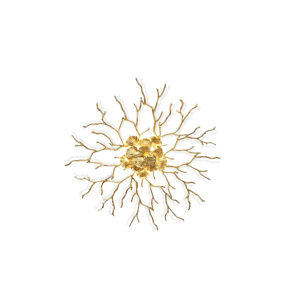 Outstanding Coral Zoa Eye Wall Lamp Optimized