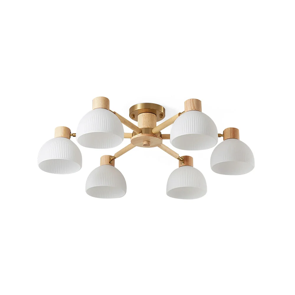 Trusted Flared Ceiling Light Solid