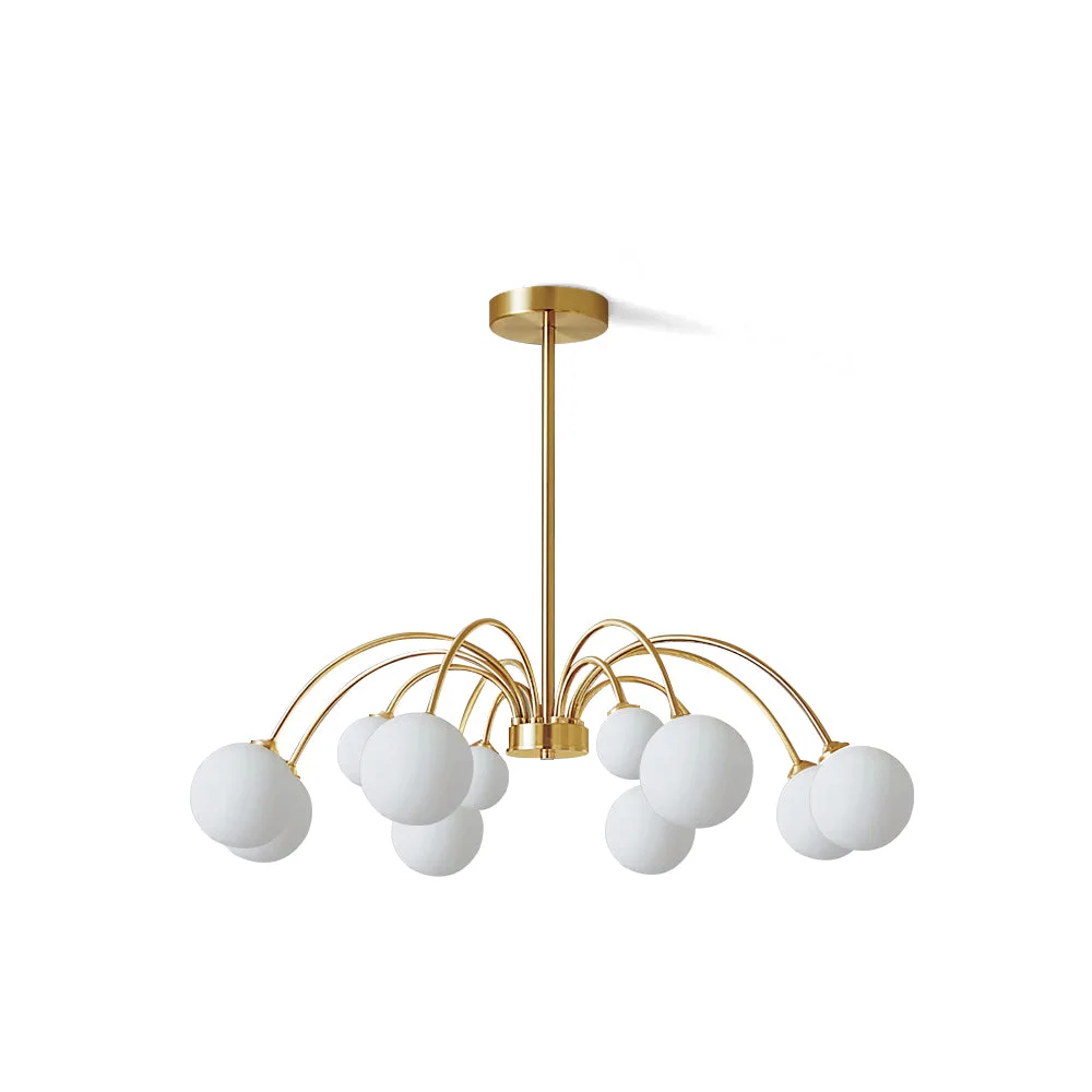 Trusted Apiales Chandelier Authentic
