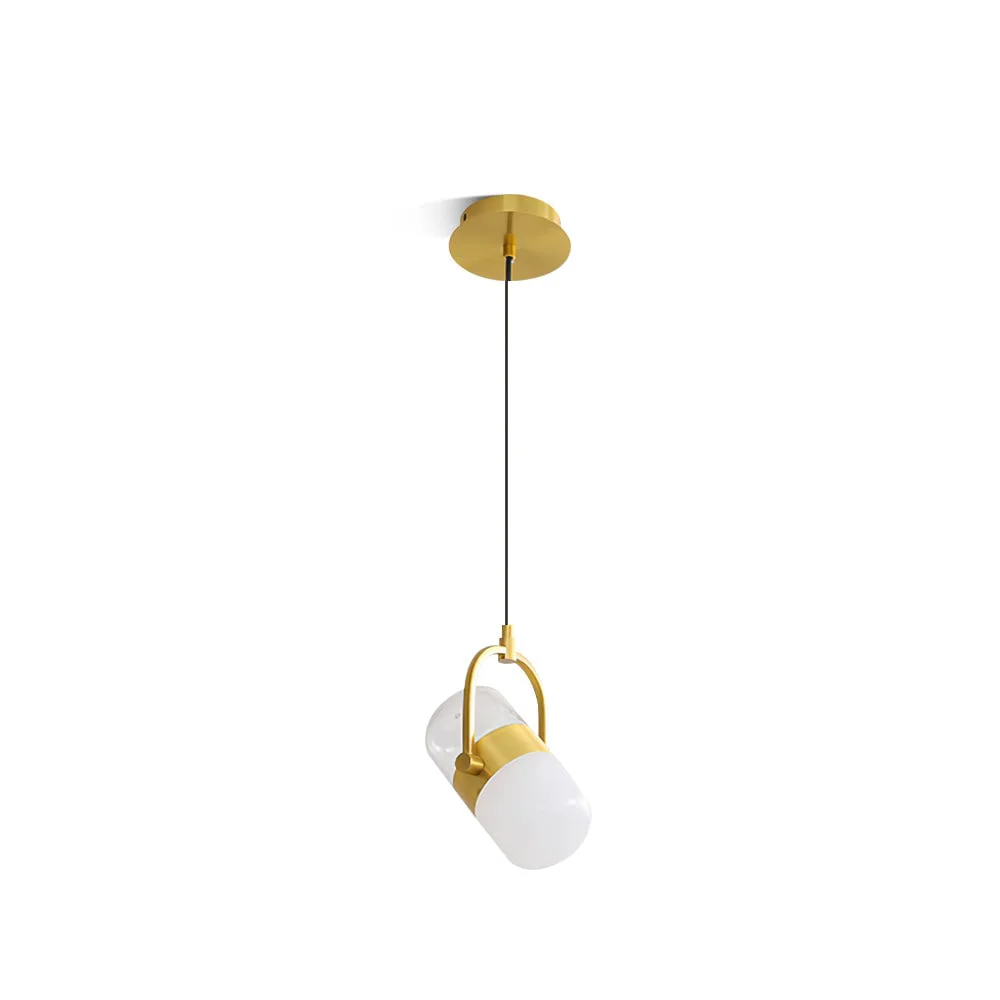 Unique Capsule Rotating Pendant Lamp Premium Material