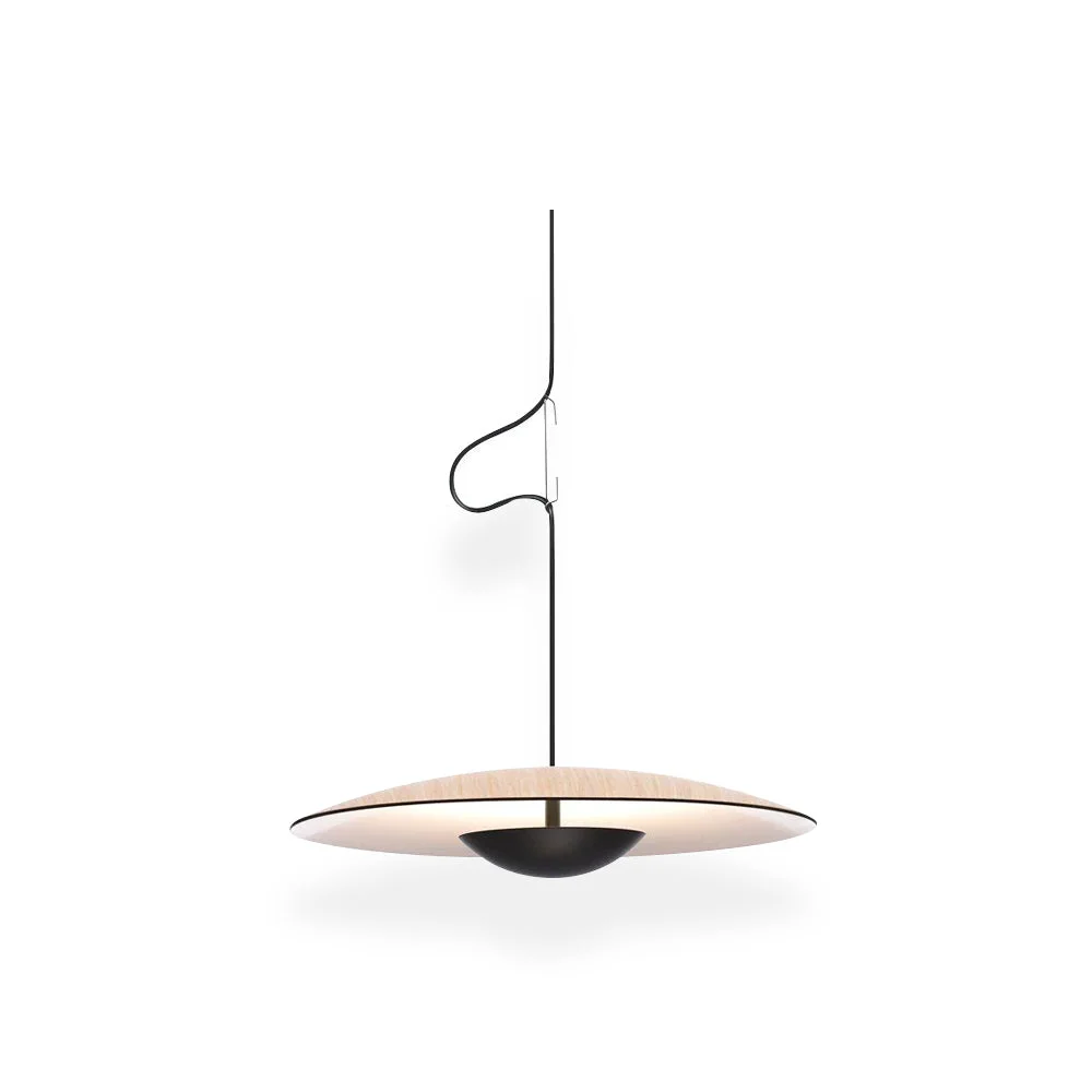 Secure Ginger Pendant light Original Design