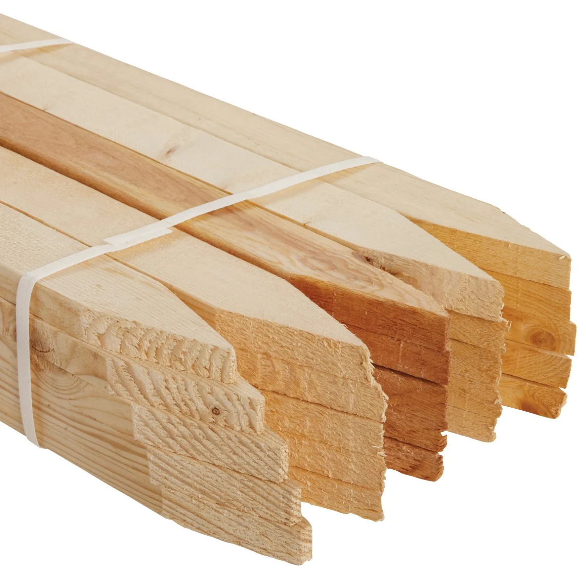 First-Class Kitzmans 2 In. x 2 In. x 18 In. Concrete Grade Stake 20-Pack Healthy