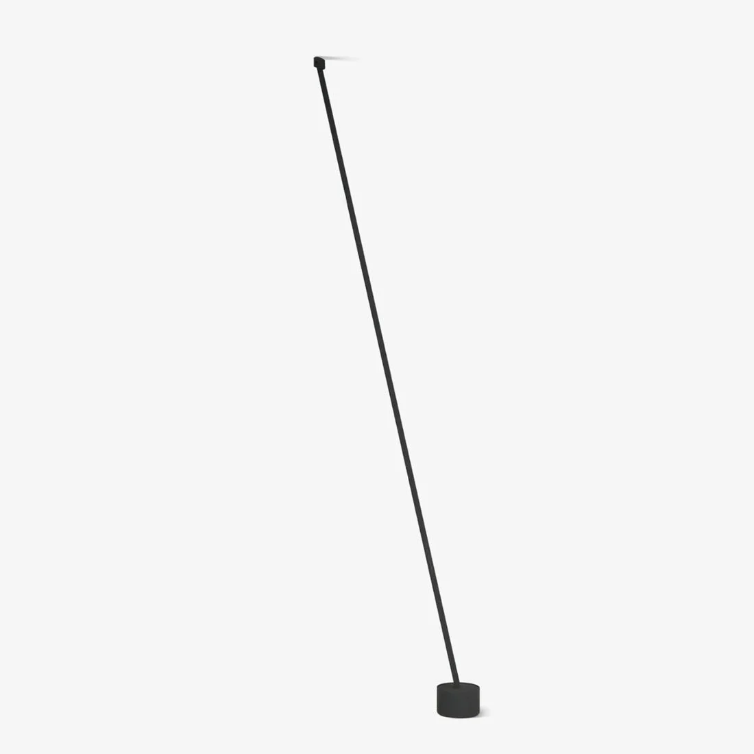 Functional Elastica Arbitrary Floor Lamp Healthy