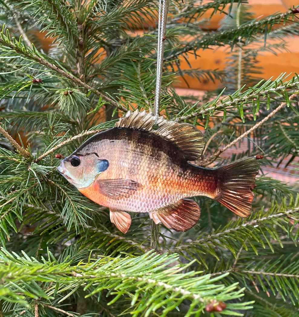 Expertly Made Bluegill Fish Ornament Christmas Bluegill Fish Ornaments Sustainable