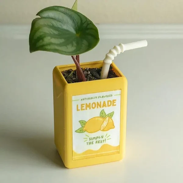 Relaxed Juice Box Flower Pot High-Performance