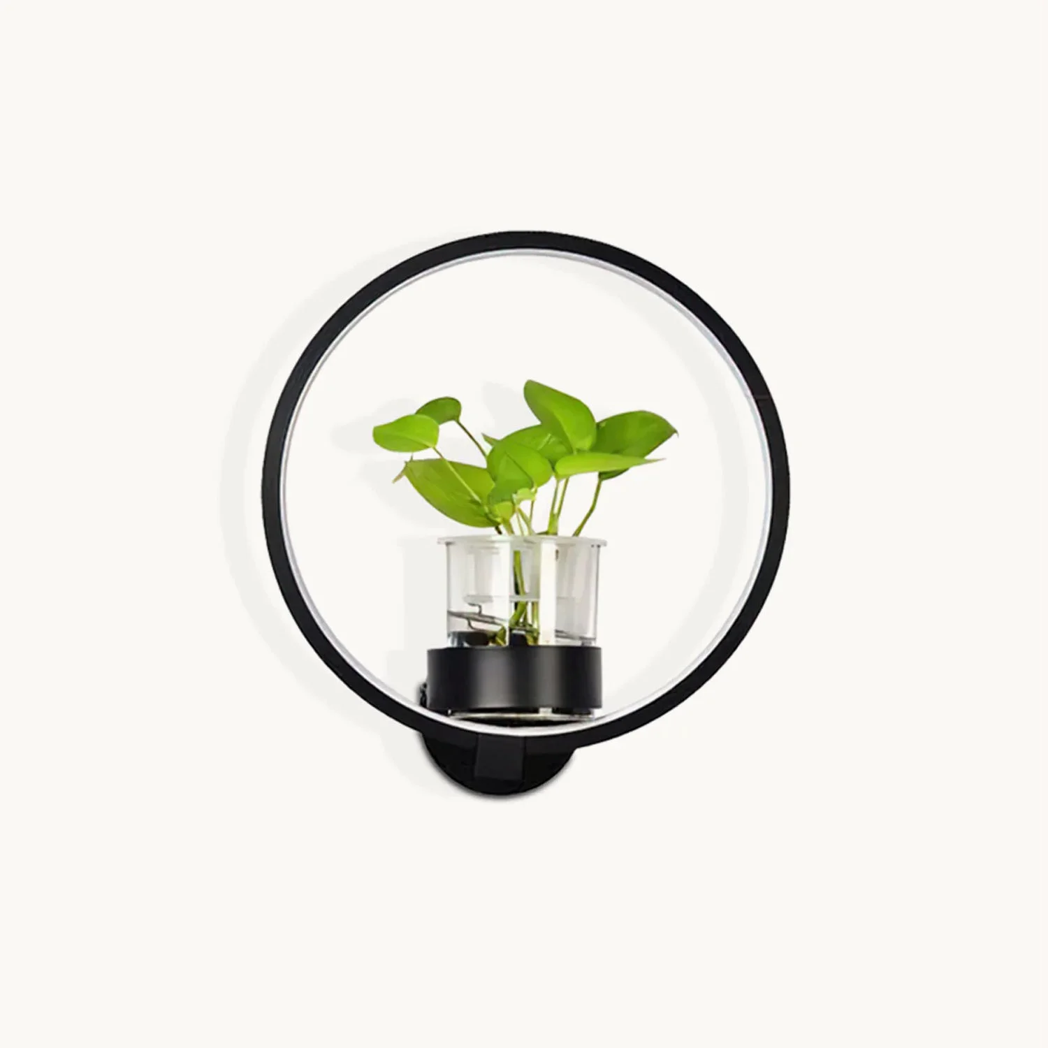 Excellent Ecological Wall Light Functional