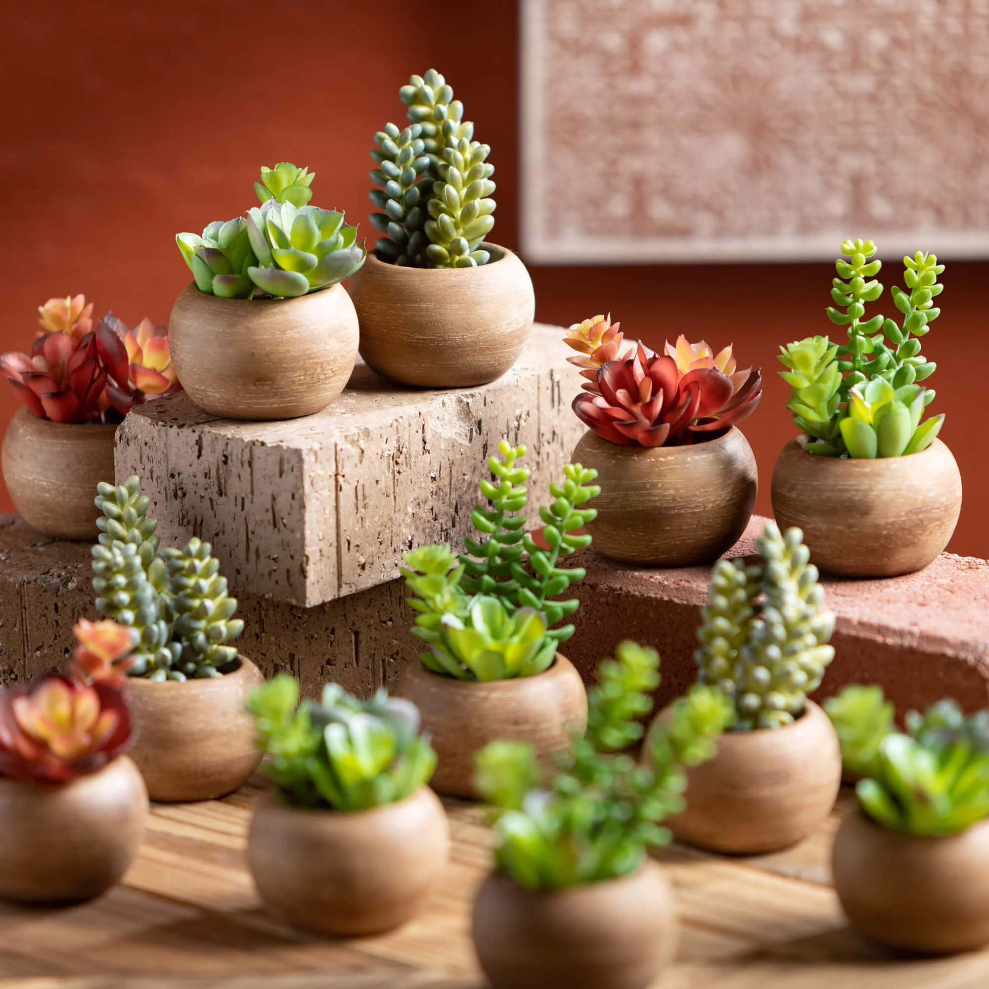 Verified Mini Potted Succulent Dependable