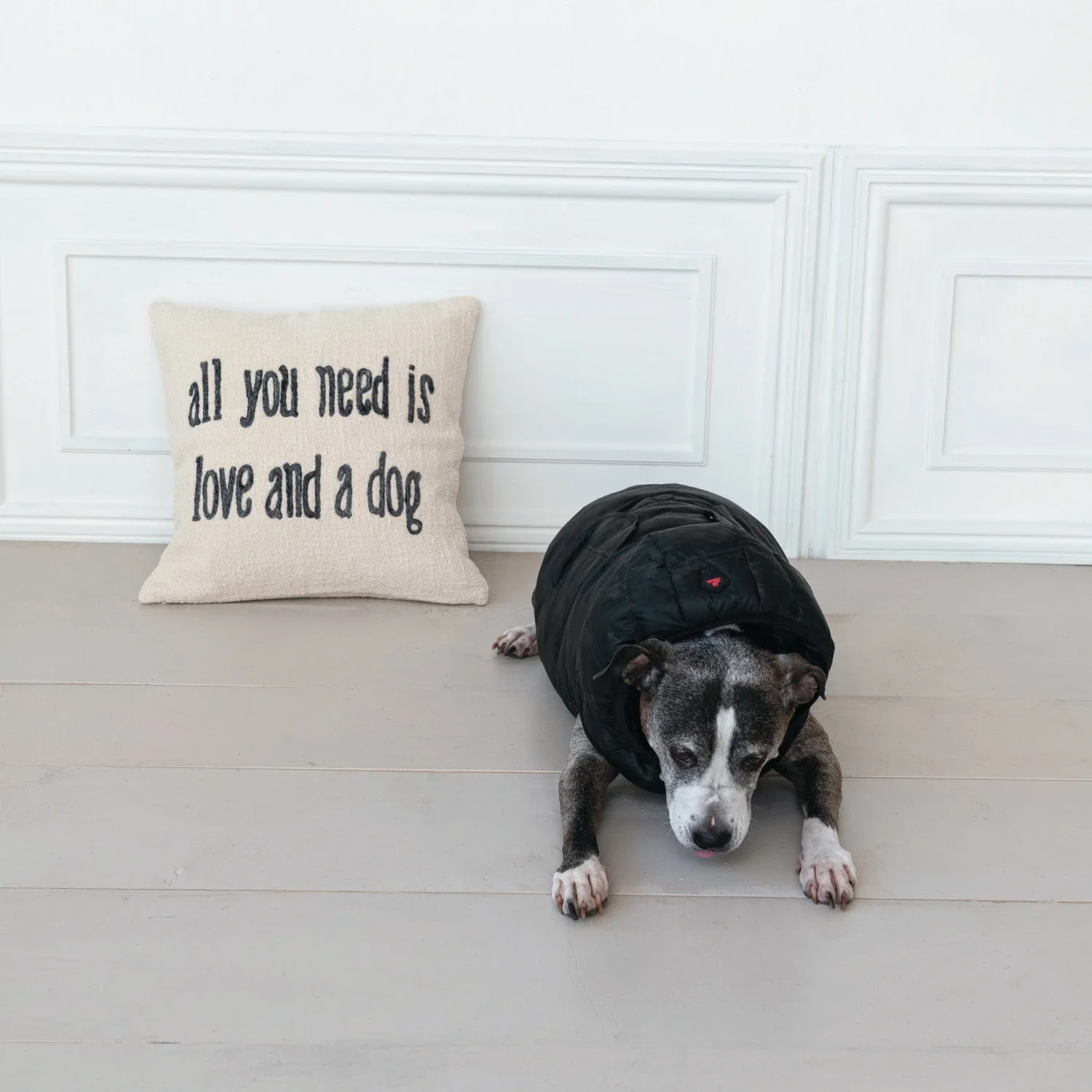 Convenient all you need is love and a dog Throw Pillow 18 Fine Crafted