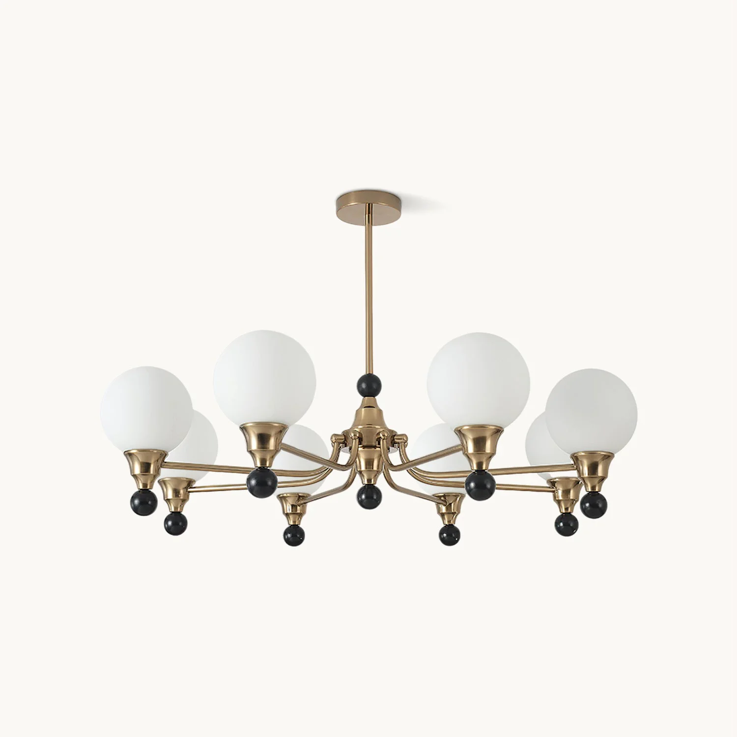 Fine Caliora Chandelier Trendy