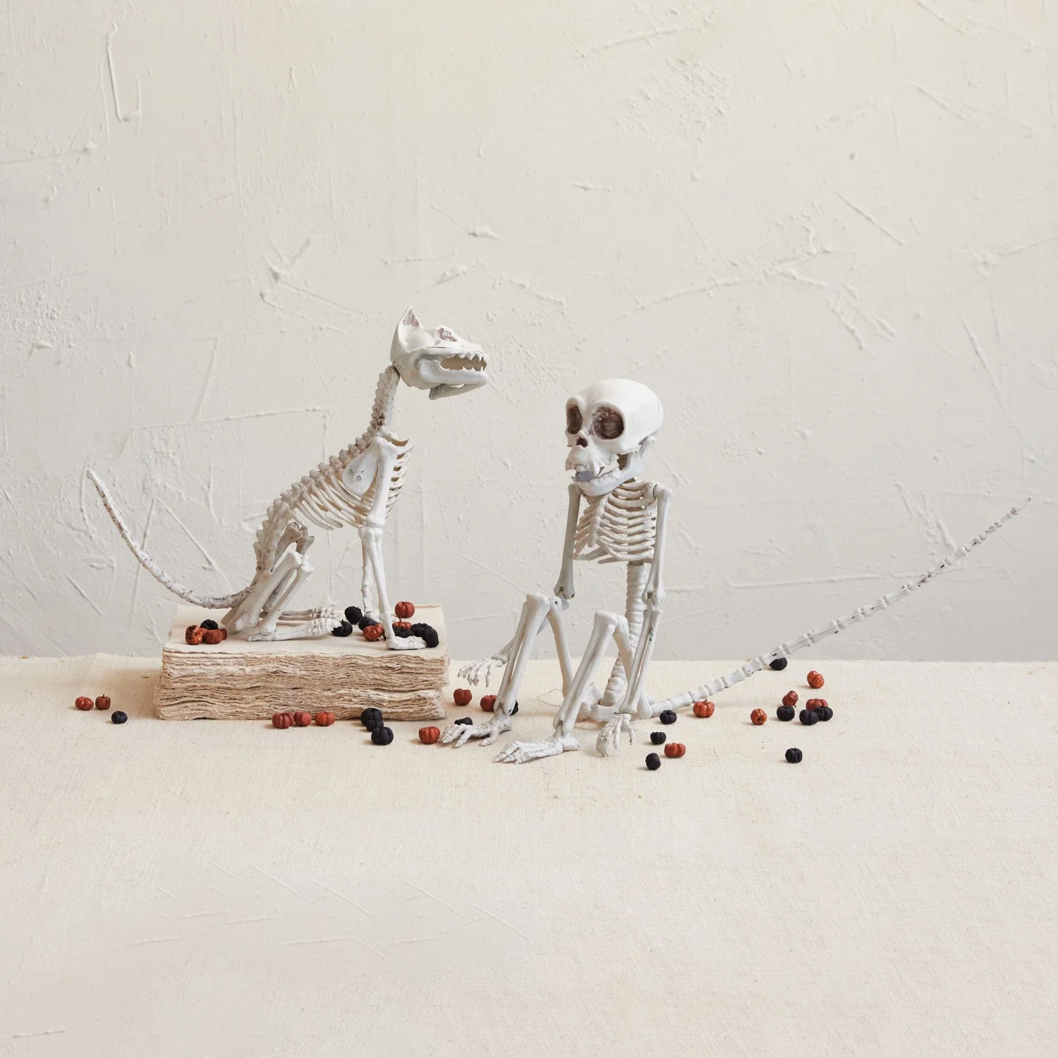 Innovative Monkey Skeleton Plastic Halloween Accent Organic