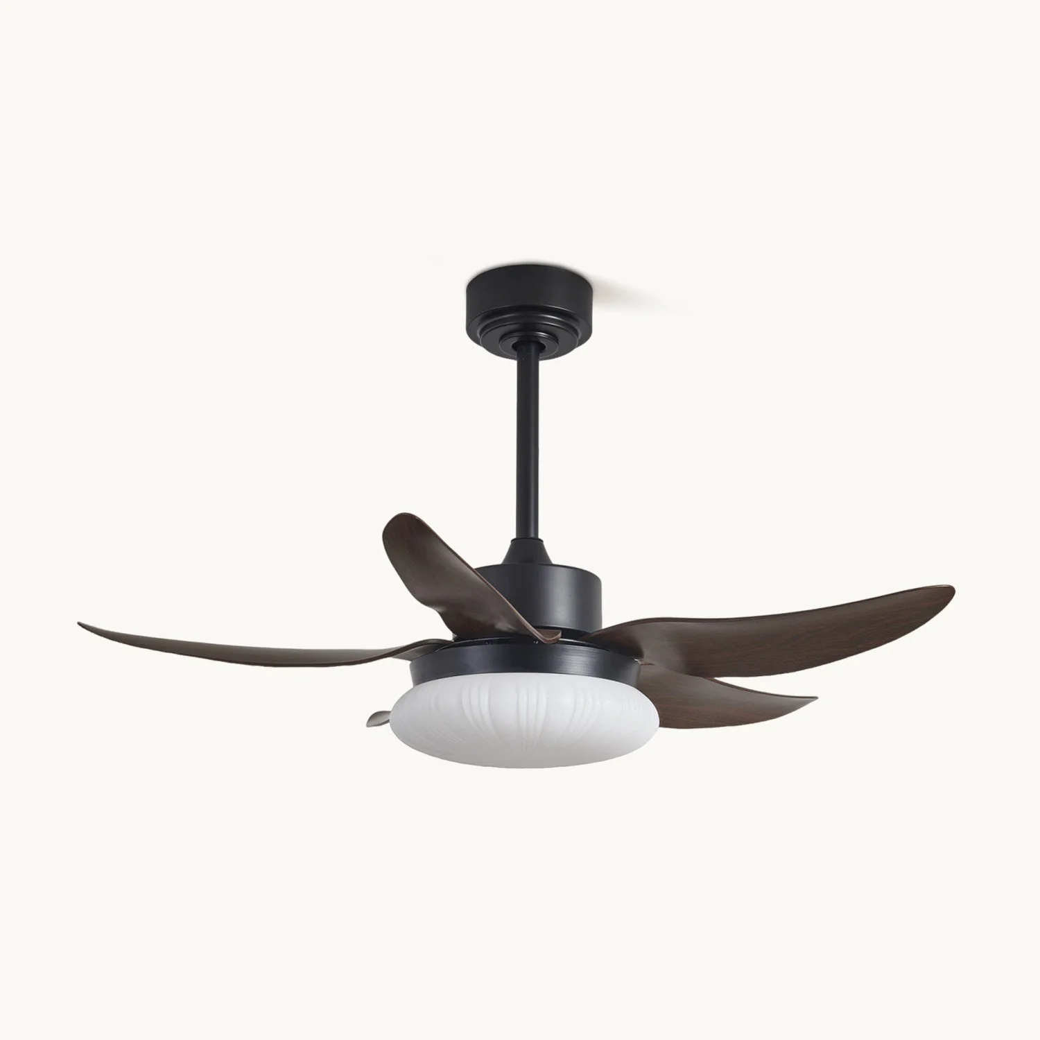 Enhanced Moasis Ceiling Fan Light Exceptional