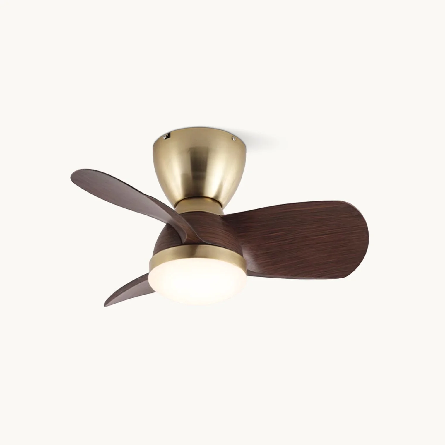 Official Troyes Ceiling Fan Light Detailed