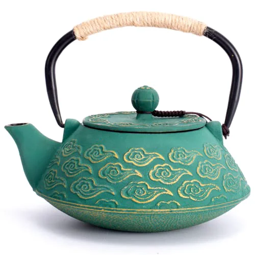 Trendy Cast Iron Teapot Unique