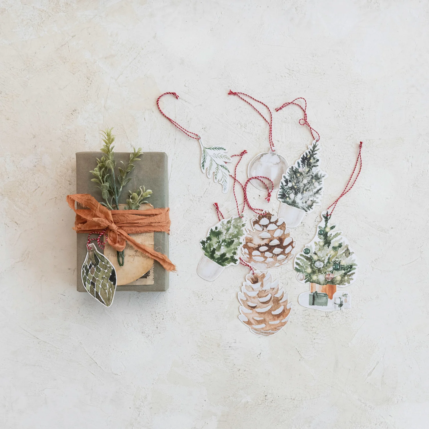 First-Class Recycled Paper Botanicals Gift Tags Set of 8 Healthy