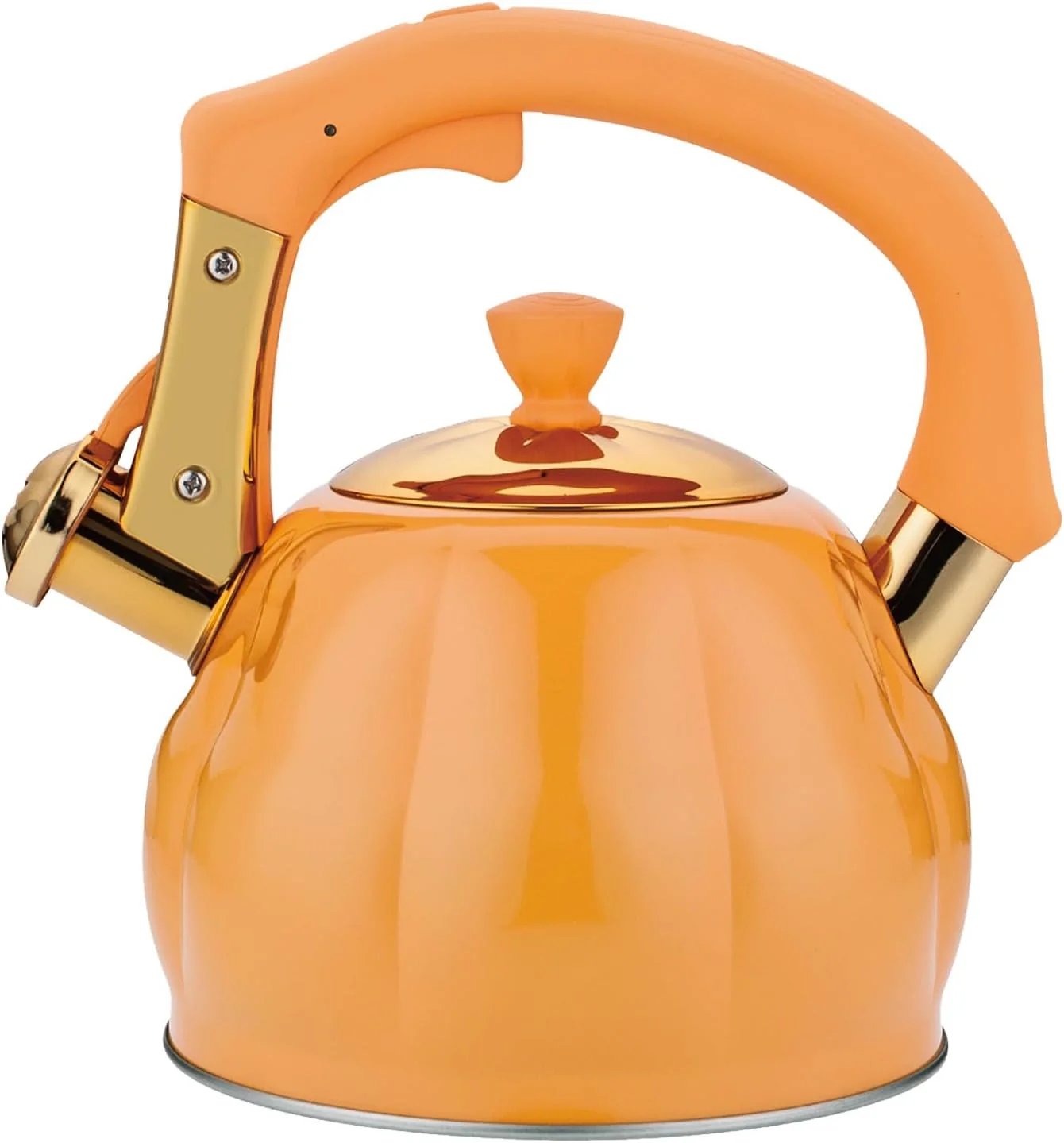 Recyclable Stainless Steel Tea Kettle for Stove Top Teakettles Stovetop Whistling with Heat Proof Ergonomic Handle 2.5 Quart Practical