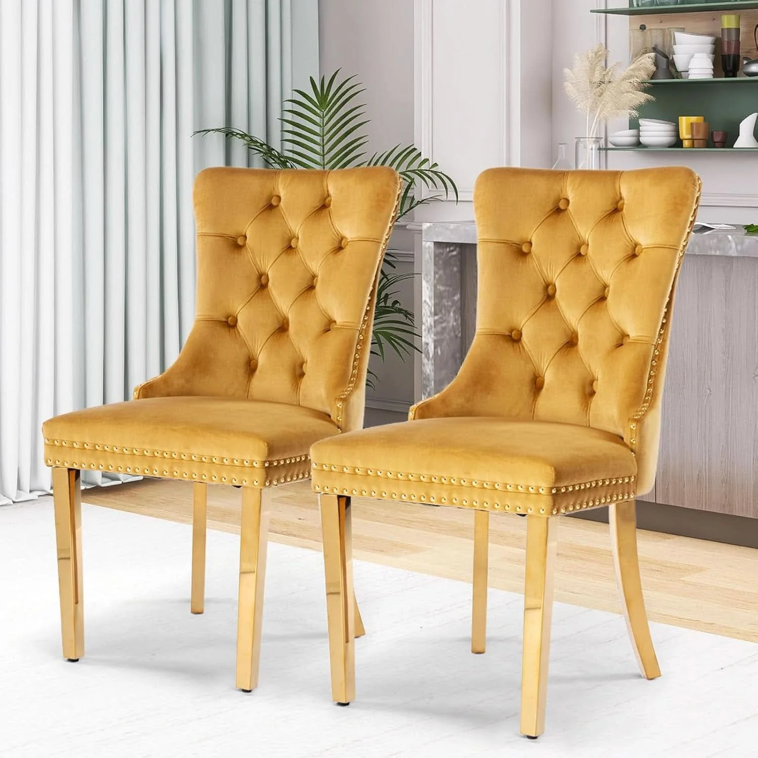 Specialty Velvet Tufted Dining Chair Set Of 2 With Nailhead Trim Official