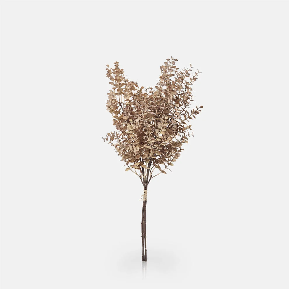 Clean Eucalyptus Bunch Desert Natural