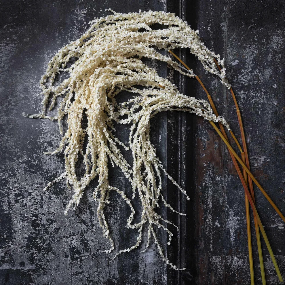Artisan Amaranthus Cream – Faux Plant Contemporary