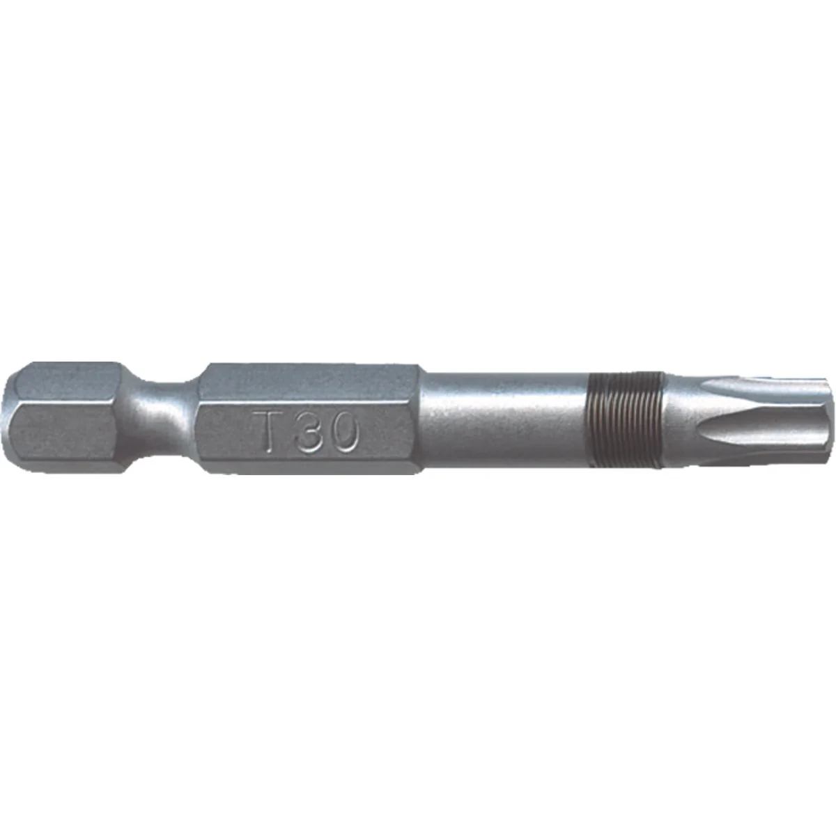 Dependable Big Timber T30 x 2 In. Torx Bit 2-Piece Reusable