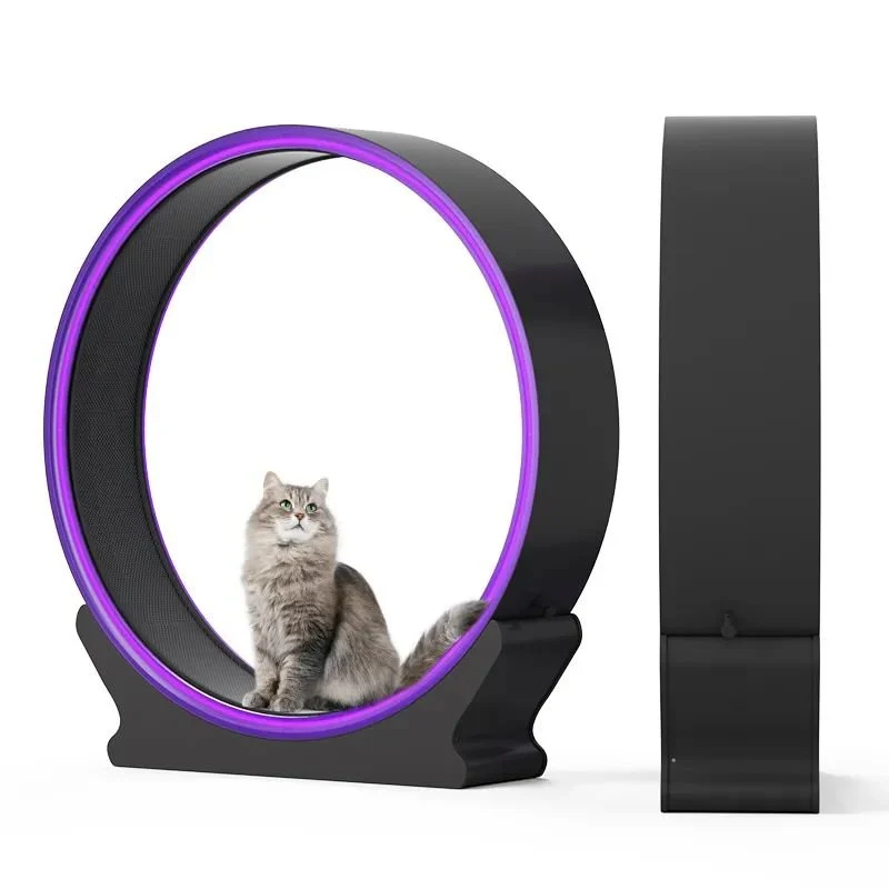 Enhanced latest design technology sense with colorful lighting pet cat treadmill cat treadmill wheels Whole Genuine