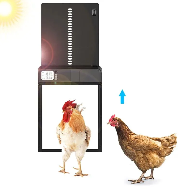 Excellent Whole Automatic Chicken Coop Door with Timer Light Sensor and Remote Controls Smart Poultry door Outstanding