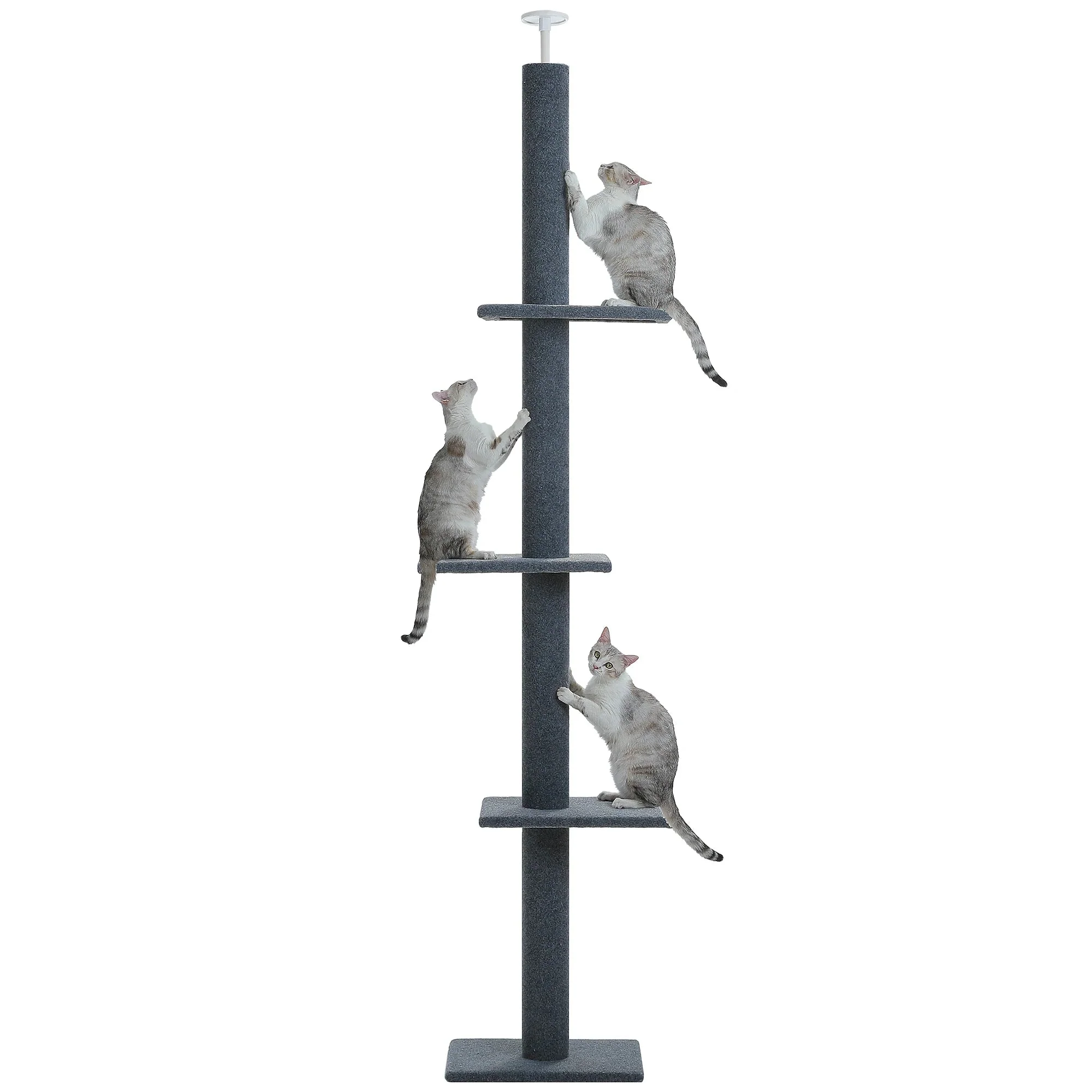 Excellent Catvera Floor to Ceiling Cat Tree Reliable