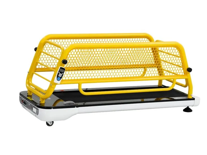 Prestigious Factory whole high quality pet intelligent electric sports dog treadmill High-End