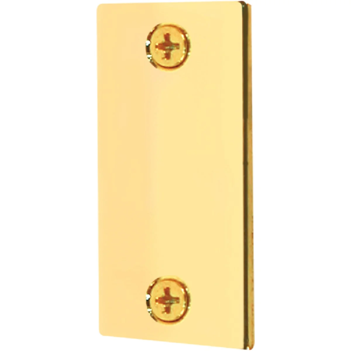 Trusted Defender Security 1-1 8 In. x 2-1 4 In. Brass Door Edge Filler Plate Original Design