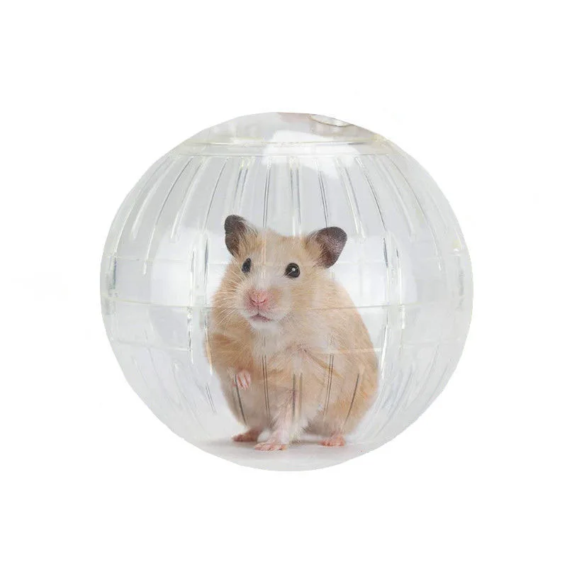 Classic Translucent Exercise Ball for Hamsters Rats Practical