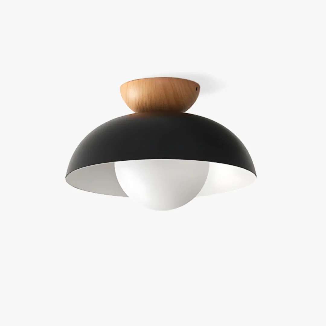Carefully Designed Deku Moderne plafondlamp Contemporary